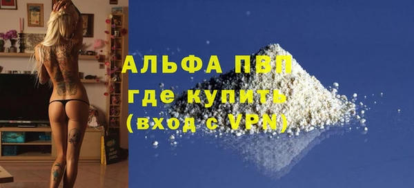 крисы Новозыбков