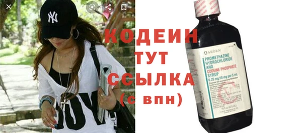 крисы Новозыбков