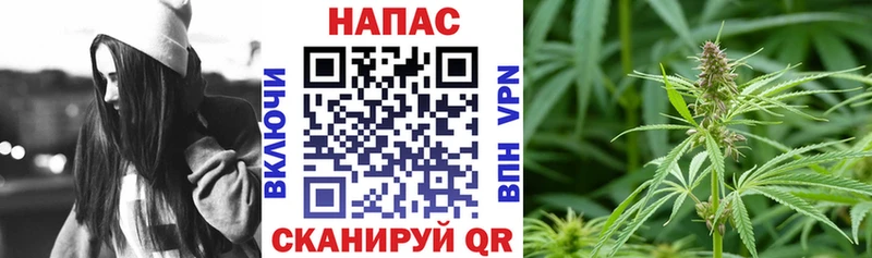 Шишки марихуана ГИДРОПОН  купить наркотик  мега   Судак 